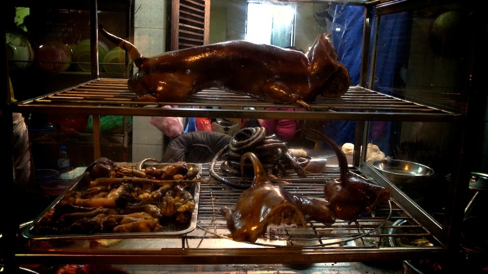 eating a dog meat meal in Hanoi, Vietnam