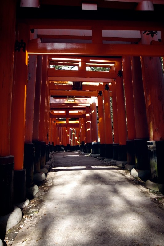 7 - les chemins de torii, Fushimi Inari, Kyoto